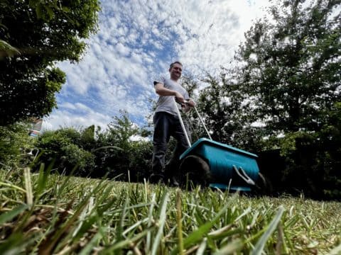 Gartenpflege und professionelle Grundstücksbetreuung